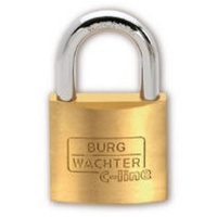 Burg Wächter 3041 Vorhängeschloss 25.00 mm verschieden schließend Messing