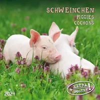 Tushita paperart Piggies/Schweinchen 2024: Kalender 2024 (Artwork Edition)