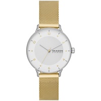 Skagen RIIS Edelstahl 36 mm SKW3092