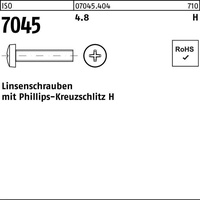 Reyher ISO 7045 Form C Linsenkopfschraube VG M4x16 Stahl