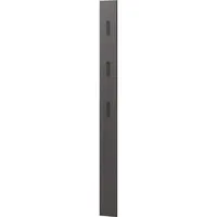 Germania Garderobenpaneel Colorado 15 x 170 x 3 cm