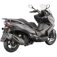 Alpha Motors Sport Cruiser 22 125 ccm 11,0 PS
