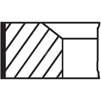 Mahle Kolbenringsatz 039RS101010N0