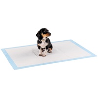 LIONTO Welpenunterlage 100 St