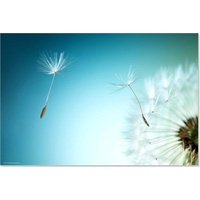 Cover-your-desk Schreibtischunterlage für Kinder und Erwachsene Pusteblume, aus hochwertigem