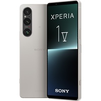 Sony Xperia 1 V silber