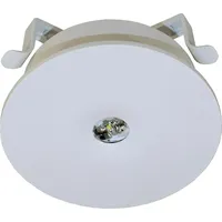 RP-Technik LED-Sicherheitsleuchte ILEL423SC