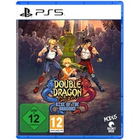 Game Double Dragon Gaiden Rise of the Dragons