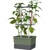 Gusta Garden Anzuchtsgefäß Charly Chili 10 L dunkelgrün