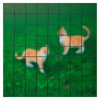 VERSELE-LAGA Nature Drahtgeflecht Quadrat 1x2,5m 25mm Kunststoffbeschichteter Stahl