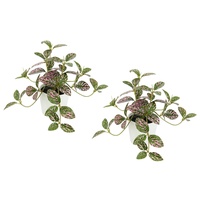 I.GE.A. Künstliche Zimmerpflanze mini Aucuba im Topf Pflanze Seidenblumen