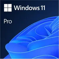 Microsoft Windows 11 Pro ESD DE