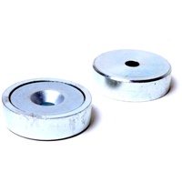 Magped Ersatz Magnet Silber Modell 2023