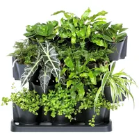 Prosperplast Cascade Garden aus Kunststoff in Anthrazitfarbe 68,5 x