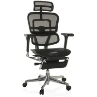 HJH Office Chefsessel ERGOHUMAN PLUS LEGPRO GEN2 Originales Design,
