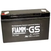 Fiamm FG11201 6 V 12Ah Blei Akku / Blei