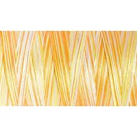 Gütermann Creativ Gütermann Bulky-Lock No. 80 1000 m Multicolour