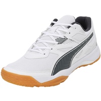 Puma Solarflash II puma white-shadow/ gray-gum 44,5