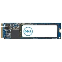 Dell NVMe