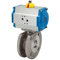 Riegler Kompaktflansch-Kuha, pneu. Stellantr., doppeltwirkend, ES, DN 65