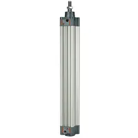 Riegler Normzylinder, doppeltwirkend, Magnet, Kolben- Ø40, Hub 800, G