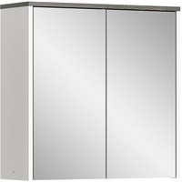 Xonox.home Spiegelschrank Los Angeles - rauchsilber