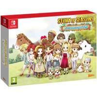 Ecoplay Story Of Seasons A Wonderful Life