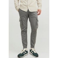 JACK & JONES Paul Flake Ana Cargohose Sedona Sage