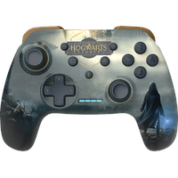 Freaks and Geeks Harry Potter Hogwarts Legacy Landscape Wireless