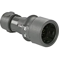 Bulgin PXP6010/03S/CR/0507 Rundsteckverbinder Kupplung, gerade Gesamtpolzahl: 2 + PE