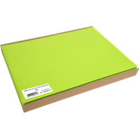 ProNappe 100 PROnappe Platzsets grün 30,0 x 40,0 cm