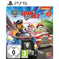 Bandai Namco Entertainment Paw Patrol: Grand Prix - [PlayStation