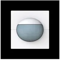 Busch-Jaeger Busch-Wächter 180 flex 64764-44G