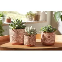 Dekoleidenschaft 3x Blumentopf "Terra" aus Zement in Terracotta Optik