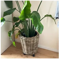 Van der Leeden DRYPOT® Rattan Pflanzkübel Grau Ø 42