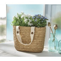 Dekoleidenschaft Pflanzer Strandtasche oval, aus Zement in beige, Blumentopf
