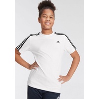 Adidas Essentials 3-Streifen Cotton T-Shirt White / Black 164    