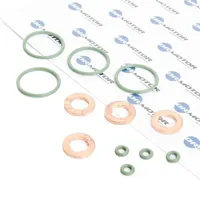 DR.MOTOR AUTOMOTIVE Dichtungssatz, Einspritzdüse DRM007S