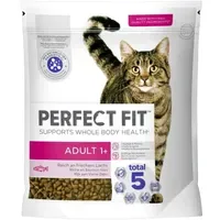 PERFECT FIT Adult 1+ reich an Lachs 5 x