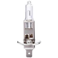 IWH 019352 Halogen Leuchtmittel H1 55 W 12 V
