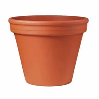 Spang Blumentopf Ton Ø16cm konisch natur