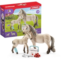 Schleich Horse Club Hannahs Erste-Hilfe-Set