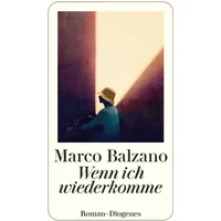 Diogenes Verlag AG Wenn ich wiederkomme