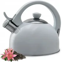 Kadax Wasserkessel aus Edelstahl, 1,7L Wasserkessel, Grau
