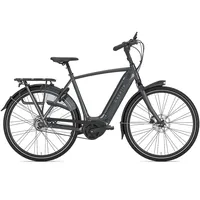 Gazelle Arroyo C5 HMB Elite 500 Wh Herren grau