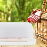 Relaxdays Kuchenbox, eckig, tragbar, Kuchen & Muffins, spülmaschinenfest, Partybutler,