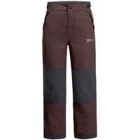 Jack Wolfskin Actamic 2l Ins Hosen - Boysenberry -