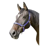 Kerbl Pferde-Halfter Mustang Gr.1 blau schwarz