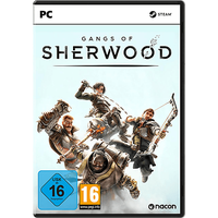 Bigben Interactive Gangs of Sherwood (PC)