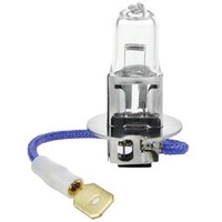 IWH 019353 Halogen Leuchtmittel H3 55 W 12 V